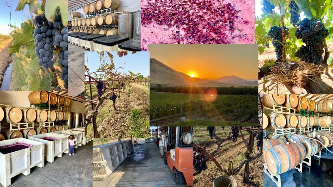 Sequoia View Vineyard Acomodação com café da manhã Sanger Exterior foto