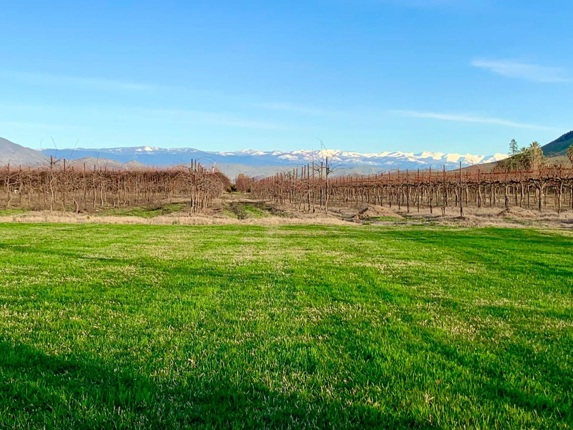 Sequoia View Vineyard Acomodação com café da manhã Sanger Exterior foto